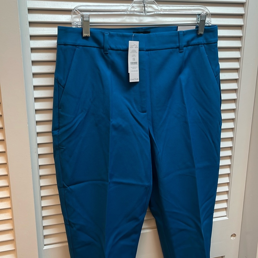 NWT WHBM slim ankle pants in digital teal - size 10